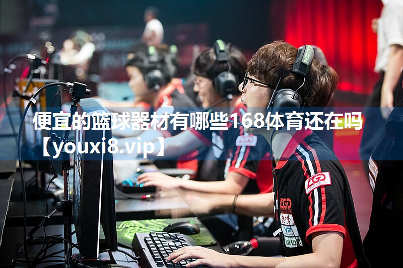 便宜的篮球器材有哪些168体育还在吗