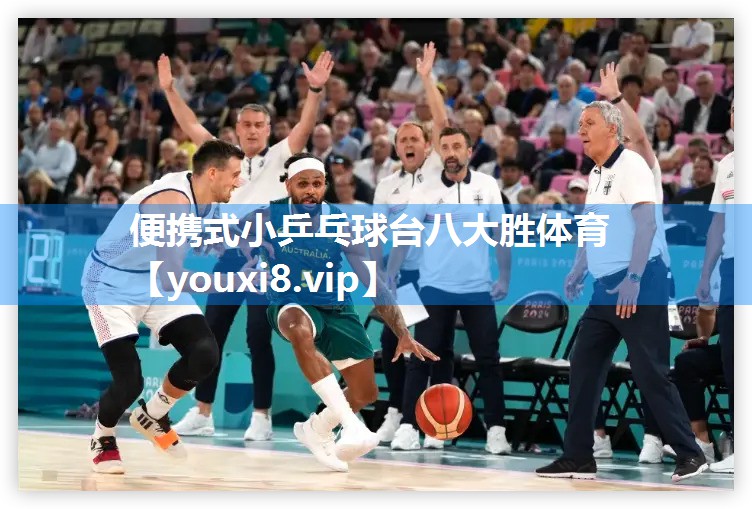 便携式小乒乓球台八大胜体育